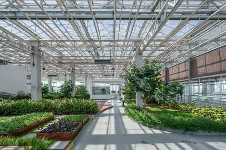 Vertical Farm Hengshui